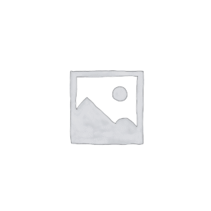 WordPress Website